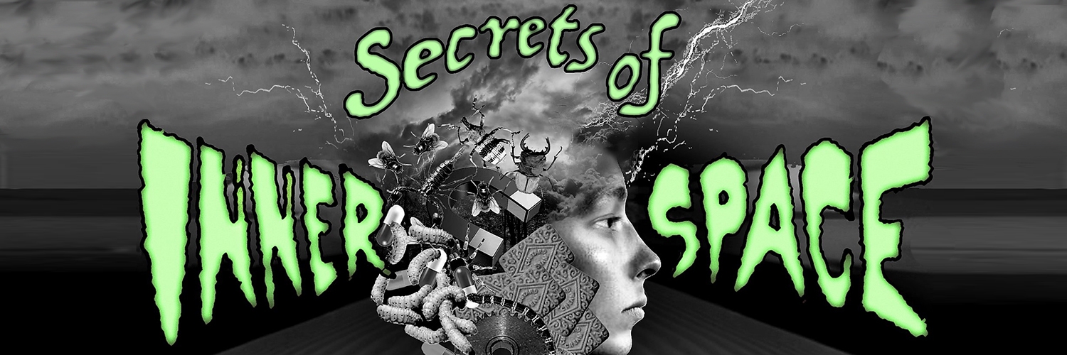 Banner Secrets of Inner Space Film Festival - NYC and Berkeley
