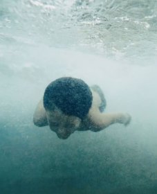 Photo of Purple Turtle Short Film Festival