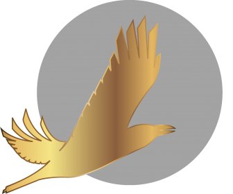 Logo of The Arctic International Film Festival ’Golden Raven’ 