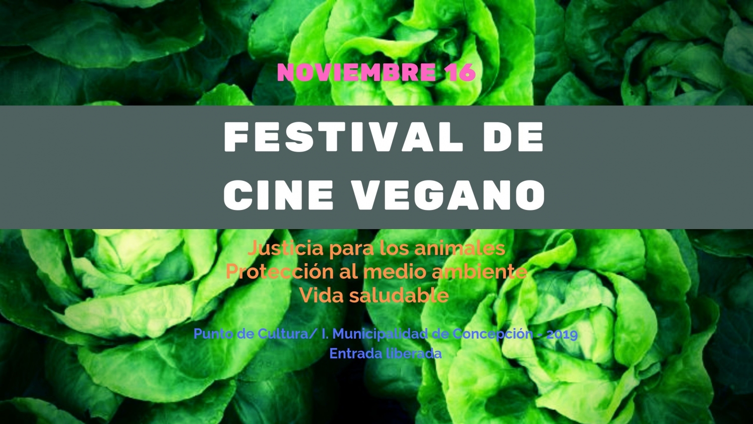 Banner Festival de Cine Vegano
