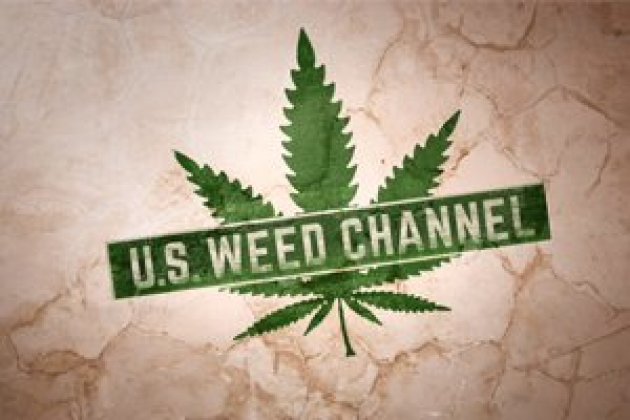 Logo of Short Rips Film Festival