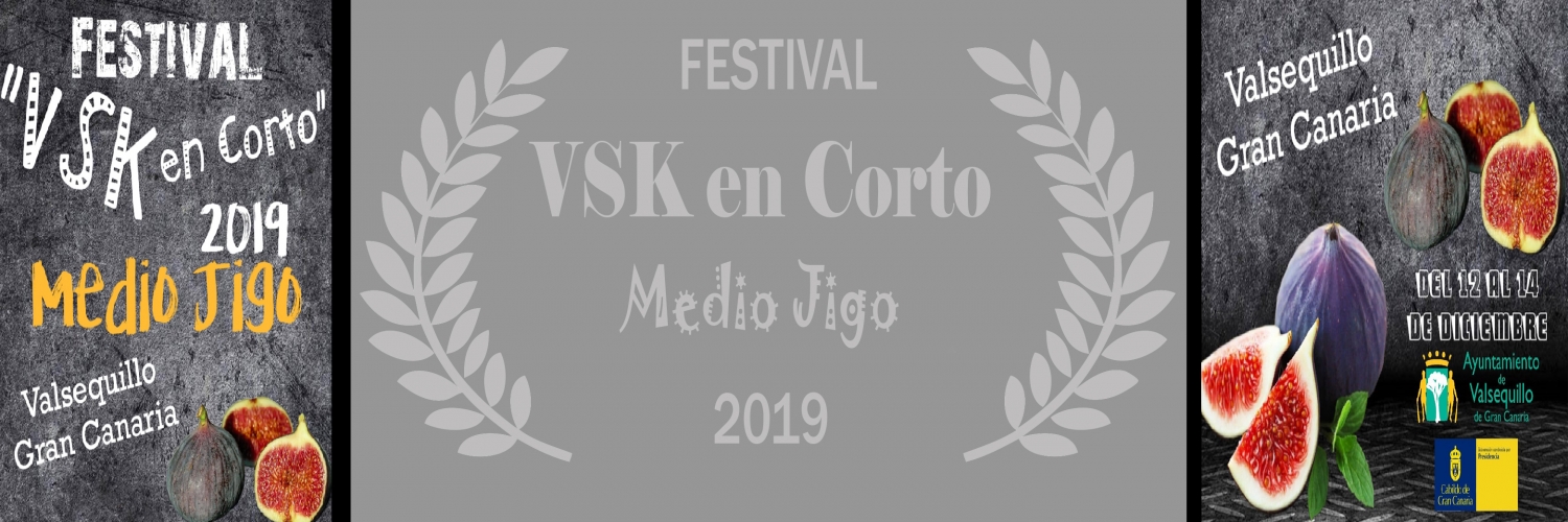 Banner VSK Rueda 2019