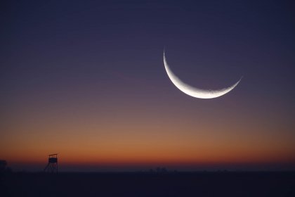 Photo of Wildlife - International Hunting & Fishing Film Festival