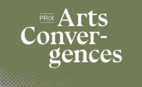 Logo of Prix Vidéo  Arts Convergences
