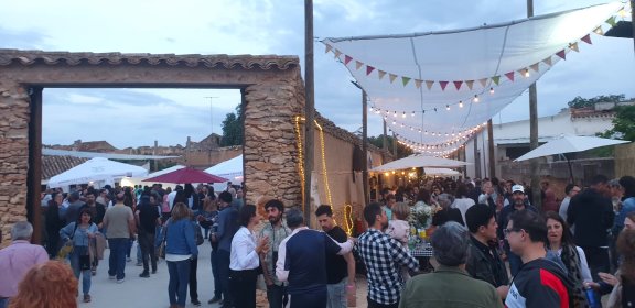 Photo of Vinartfest