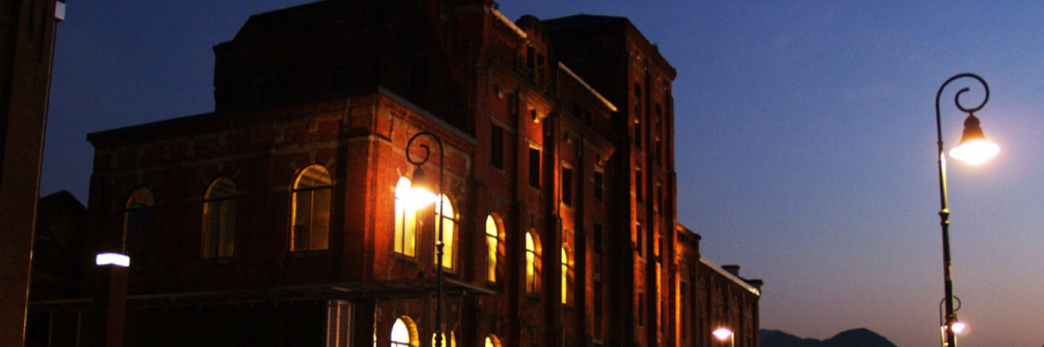 Banner Rising Sun International Film Festival