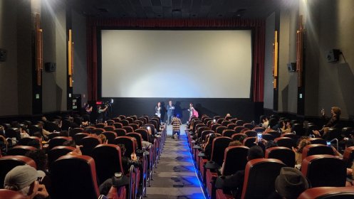 Photo of Festival Internacional de Cine con Medios Alternativos