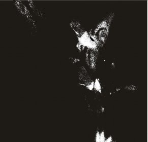 Photo of Festival Confinado De Cinema Experimental (one minute film)