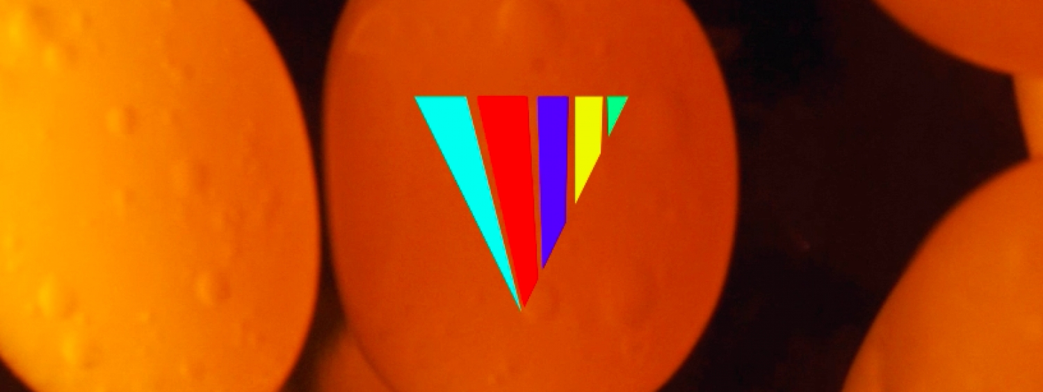 Banner Videotitlán