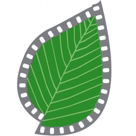 Logo of 19th  THE WŁODZIMIERZ PUCHALSKI INTERNATIONAL NATURE FILM FESTIVAL