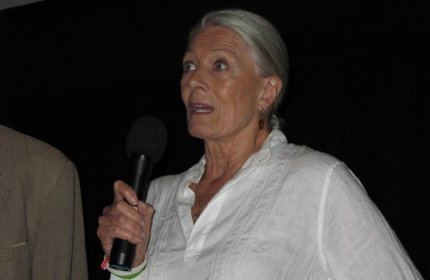 Photo of Brooklyn Film Festival