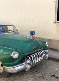 Photo of Mice Cuba