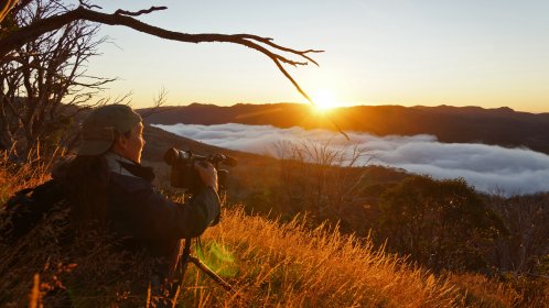 Photo of Far South Film Festival