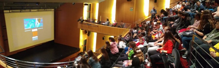 Photo of Festival Internacional de Cine de Lleida Visual Art