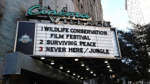 Photo of Wildlife Conservation Film Festival