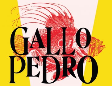 Logo of Festival Inclusivo de Cortometrajes Gallo Pedro