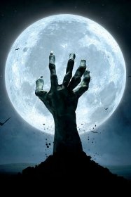 Photo of Nosferatu Film Festival