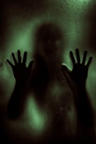 Photo of Nosferatu Film Festival