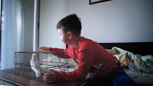 Photo of Hacer encima