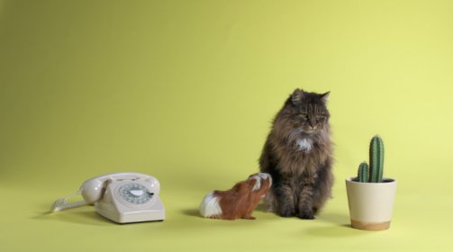 Photo of Hacer Encima