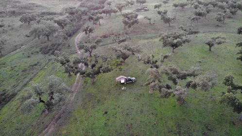 Photo of Overland-IN Festival Internacional de Cinema Overland