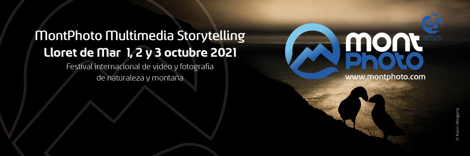 Banner MontPhoto Multimedia Storytelling