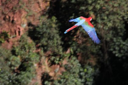 Photo of EcoBrasilFest-Environmental Film Festival