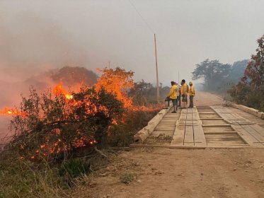 Photo of EcoBrasilFest-Environmental Film Festival
