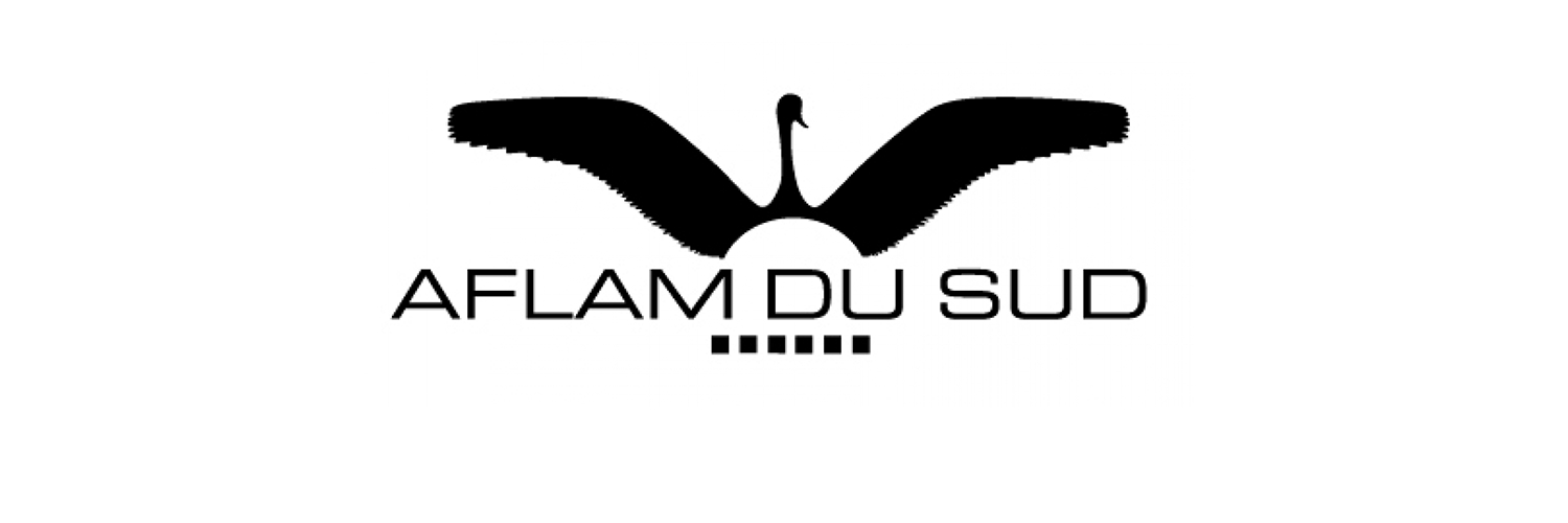 Banner AFLAM DU SUD FESTIVAL
