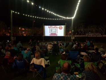 Photo of In The Bin Film Festival 