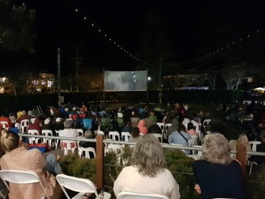 Photo of In The Bin Film Festival 