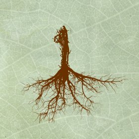 Logo of Biophilia Internacional Film Festival