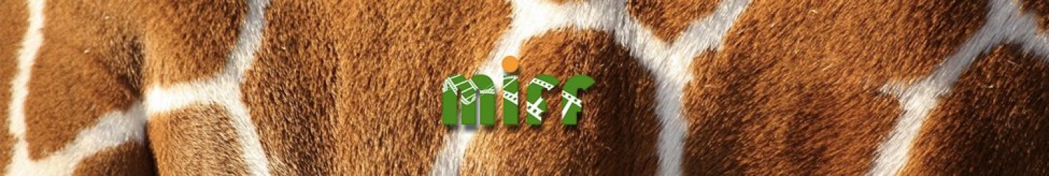 Banner Mpumalanga Short Film Festival