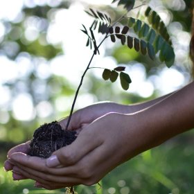 Logo of Climate Change Film Festival