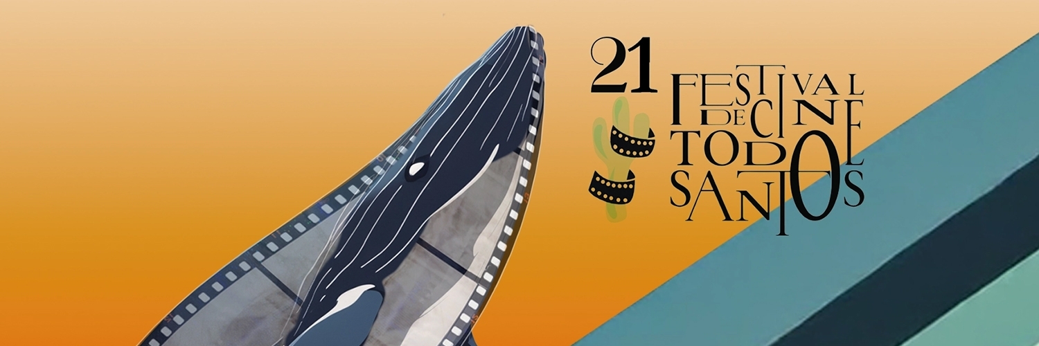 Banner Festival De Cine De Todos Santos