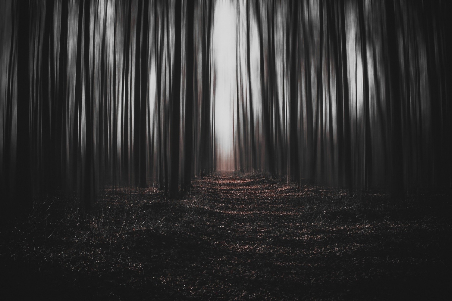 Banner Ojo Indómito