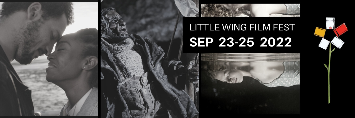 Banner Little Wing Film Festival