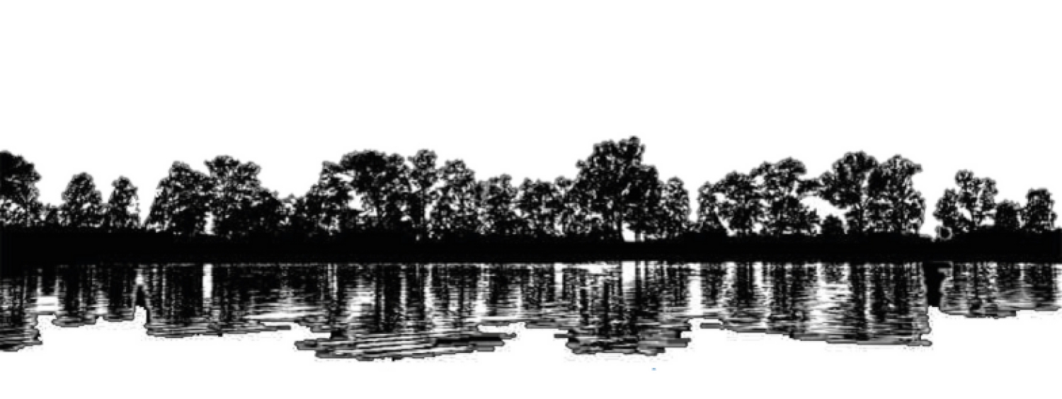 Banner MIAXJALISCO