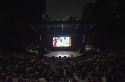 Photo of Miradas Medellín - Festival de Cine y Artes Audiovisuales