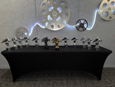Photo of Aladerri International Film Festival