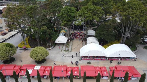 Photo of Zafic Festival