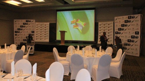 Photo of mpumalanga International Film Festival
