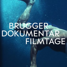 Logo of Brugg Documentary Film Festival