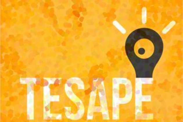 Logo of Pantallas Tesape