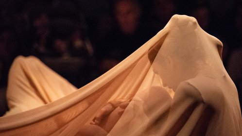 Photo of WE:NOW: Festival de arte internacional