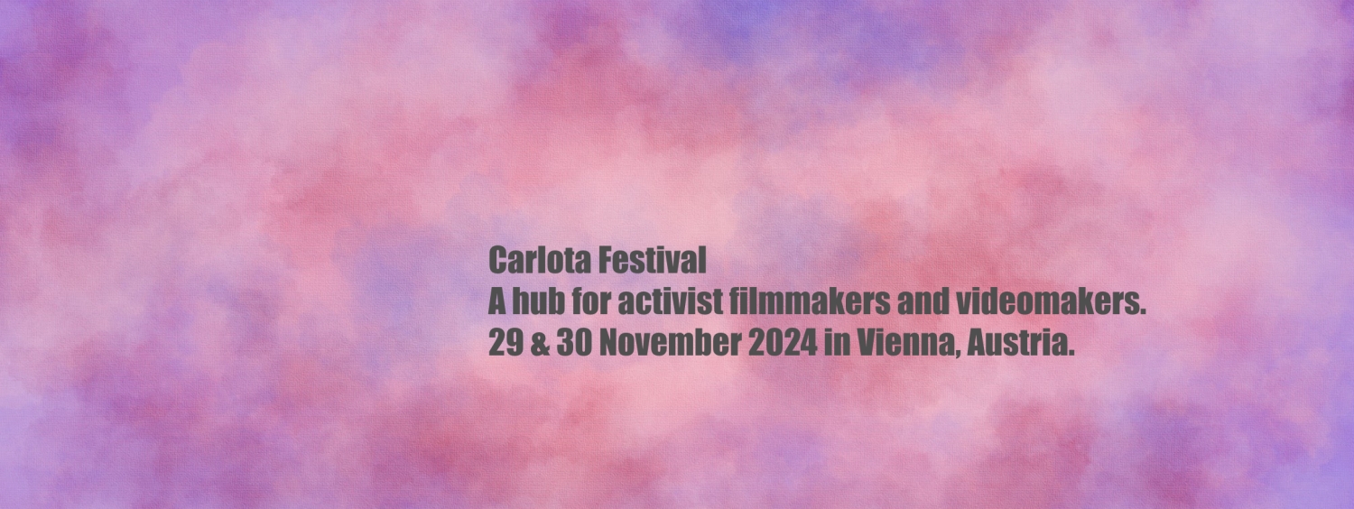 Banner Festival de Video y Cine Político Carlota