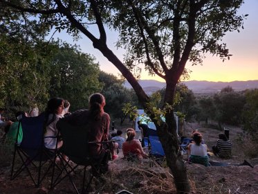 Photo of Vegan Çîftlîk Short Film Festival
