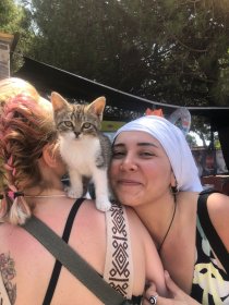 Photo of Vegan Çîftlîk Short Film Festival