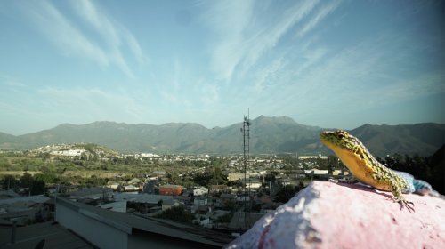 Photo of 5to Festival Internacional De Cine De Quillota 2024