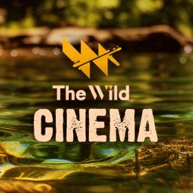 Logo of The Wild Cinema